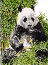Chris Calle Limited Edition Paper Print:"Giant Panda"