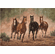 Chris Cummings Artist Signed and Numbered Print:"Run Time—Horses"