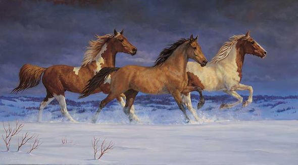 Chris Cummings Handsigned and Numbered Limited Edition Print:"Freedom"