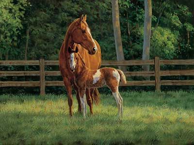 Chris Cummings Handsigned and Numbered Limited Edition Print: "Josie"
