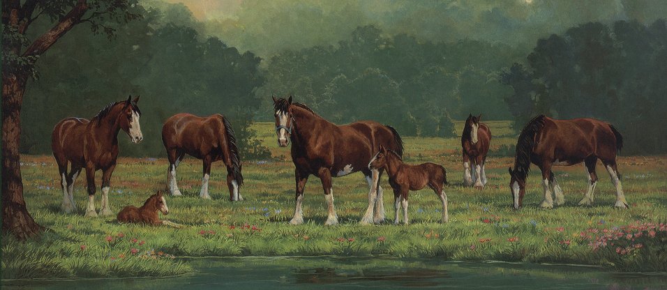Chris Cummings Handsigned & Numbered Limited Edition Print:"Pastoral Clydesdales"