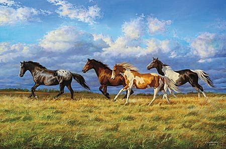 Chris Cummings Handsigned & Numbered Limited Edition Print:"Running Free "