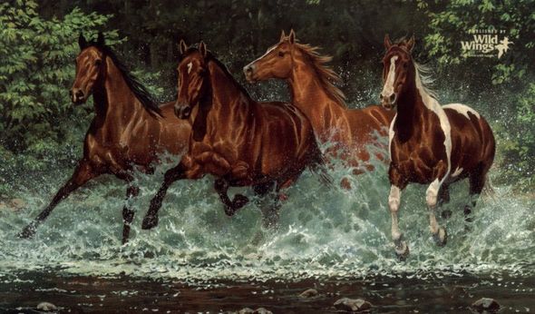 Chris Cummings Limited Edition Print:"Cascade Run"
