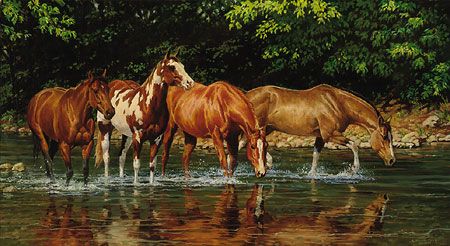 Chris Cummings Limited Edition Artist Proof Print:"Reflections"