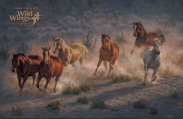 Chris Cummings Limited Edition Print: "Stone Canyon Run "