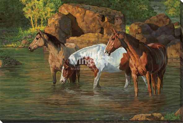 Chris Cummings 24x36 Gallery Wrap Canvas:"Pond, The"