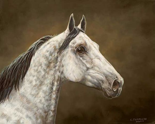 Chris Cummings Original Oil Painting: "Calypso"