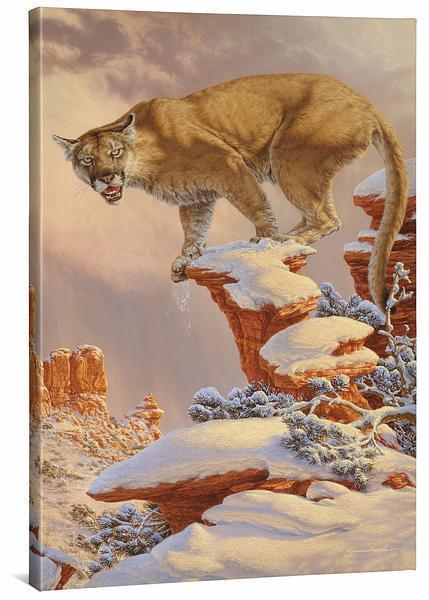 Lee Kromschroeder 36x24 Open Edition Gallery Wrap Canvas:"Balance Rock Cougar" 