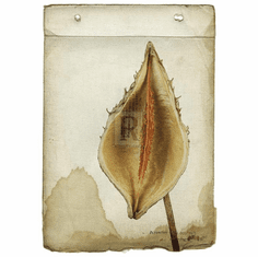 Gallerydirectart