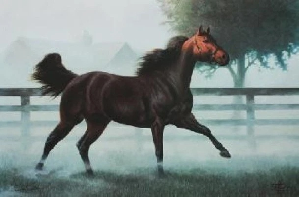 Chuck Dehaan Signed Lithograph Print on Paper: "Quarter Horse"
