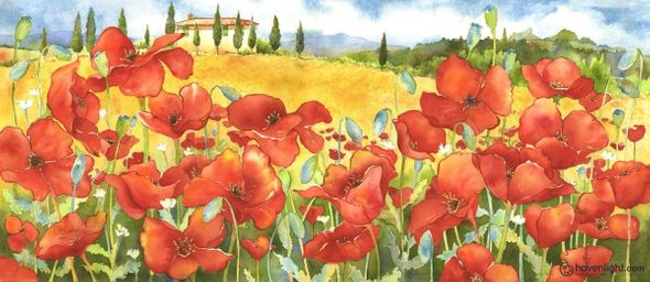 Cindy Briggs Fine Art Canvas Giclee: "On the Road to Pienza"