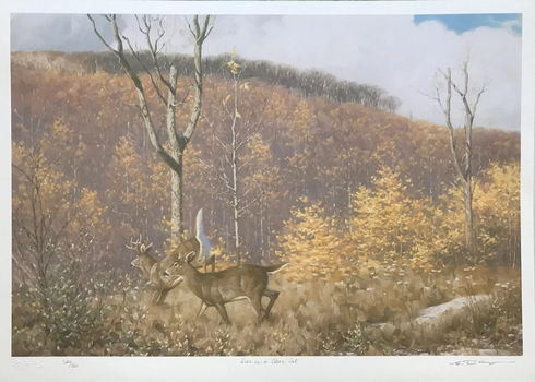 Claudio D'angelo Artist Hand-signed Limited Edition Lithograph: "DEER IN A CLEAR CUT" Claudio D'angelo Artist Hand-signed Limited Edition Lithograph: "DEER IN A CLEAR CUT"