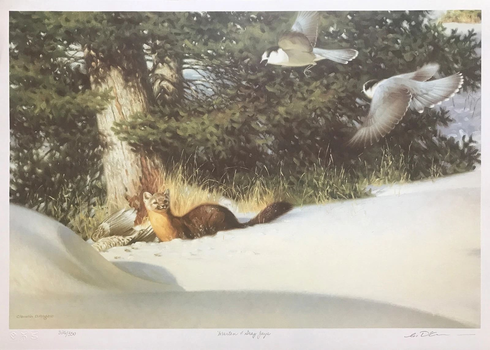 Claudio D'angelo Artist Hand-signed Limited Edition Lithograph: "MARTEN AND GRAY JAYS" Claudio D'angelo Artist Hand-signed Limited Edition Lithograph: "MARTEN AND GRAY JAYS"