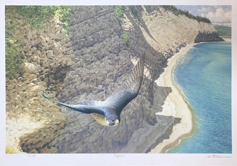 Claudio D'angelo Artist Hand-signed Limited Edition Lithograph: "PEREGRINE" Claudio D'angelo Artist Hand-signed Limited Edition Lithograph: "PEREGRINE"
