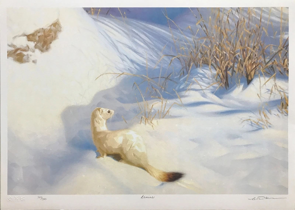 Claudio D'angelo Artist Hand-signed Limited Edition of 350 Lithograph: "ERMINE"
