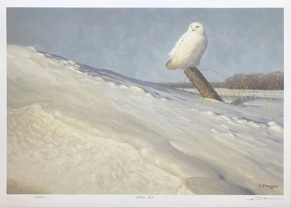 Claudio D'angelo Artist Hand-signed Limited Edition of 350 Lithograph: "WHITE OWL"