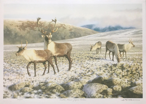 Claudio D'angelo Artist Hand-signed Limited Lithograph: "CARIBOU, MOUNT JACQUES CARTIER"