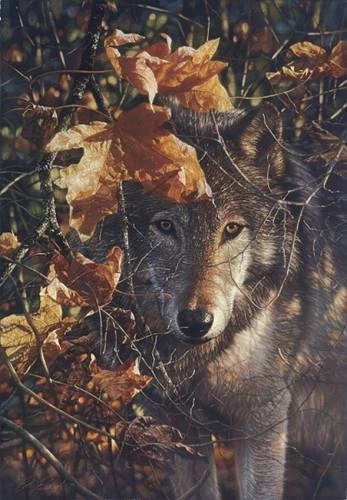 Collin Bogle Signed and Numbered Limited Edition AP  Canvas: "Autumn Eyes"