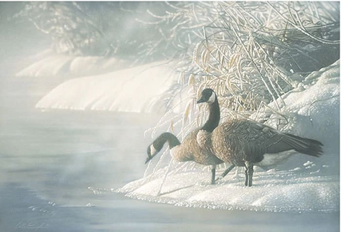 Collin Bogle Signed and Numbered Limited Edition Artist Proof Canvas: "Northern Exposure"