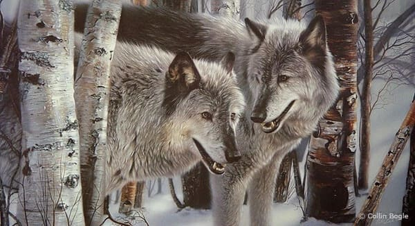 Collin Bogle Signed and Numbered Limited Edition Lithograph: "Winter Companion"