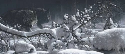 Collin Bogle Signed and Numbered Limited Edition  Masterworks Canvas: "Into the Moonlight"
