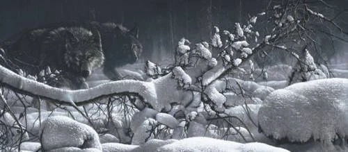 Collin Bogle Signed and Numbered Limited Edition  Masterworks Canvas: "Into the Moonlight"