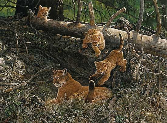 John Dawson Artist Proof Limted Edition Print:"The Attack"