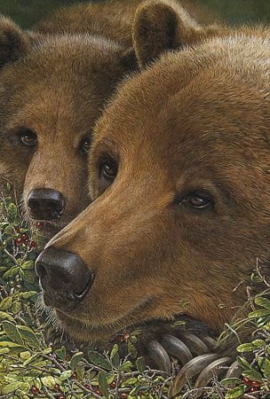 John Dawson Artist Proof Limted Edition Print:"Berry Contented"
