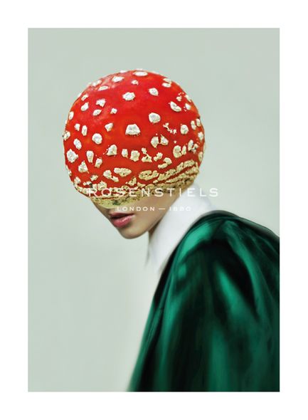 Cristina Schek Hand Numbered Limited Edition Print on Paper :"Pretty Fly For A Fungi"