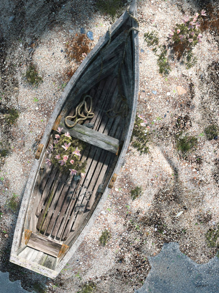 Cynthia Decker Open Edition Museum Wrap Canvas Giclee:"Washed Ashore"