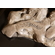 D.J. Shinn Handcrafted Solid Bronze Sculpture:"Unicorn"
