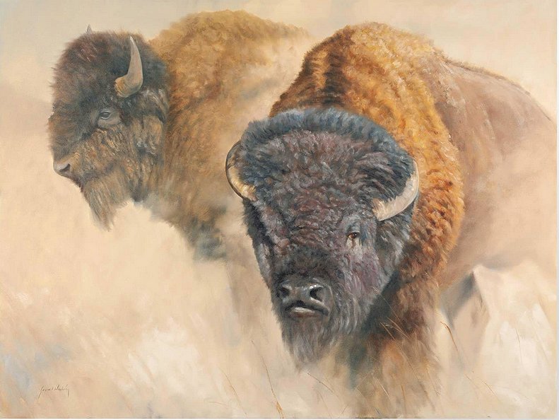 Grant Hacking 24x36 Gallery Wrap Canvas Art:"When the Dust Settles"