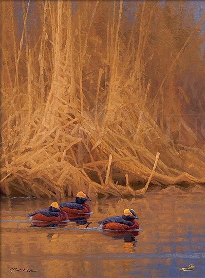 Jim Rataczak Master Artisan Hand Embellished Canvas Giclee:"Spring Royals – Horned Grebes"
