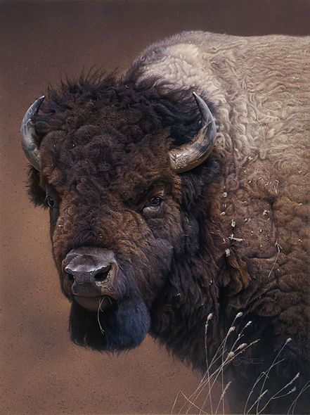 DANIEL SMITH 16X12 Secondary Market Art: "ICON OF WEST GCNV"