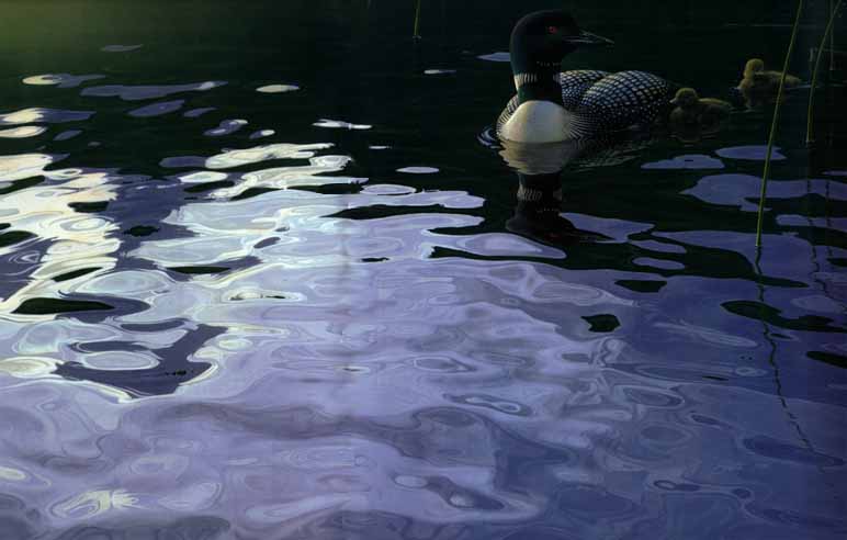 DANIEL SMITH 20X30 Secondary Market Art: "TESTING THE WATERS AP"