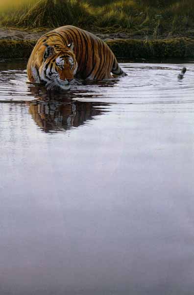 DANIEL SMITH 27X18 Secondary Market Art: "PRIMAL INSTINCT"