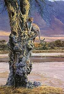 DANIEL SMITH 28X19 Secondary Market Art: "VANTAGE POINT AP"