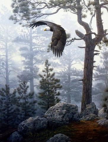 DANIEL SMITH 33X22 Secondary Market Art: "SHROUDED FOREST RIGCNV"