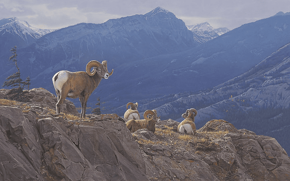 Daniel Smith Artist Hand-Signed Limited Edition Giclee Canvas:"Epic Heights"