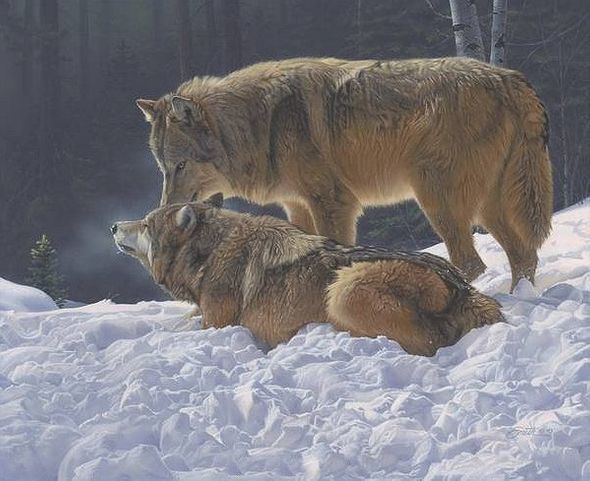 Daniel Smith Hand Signed and Numbered Limited Edition Canvas Giclee: "Court and Spark"