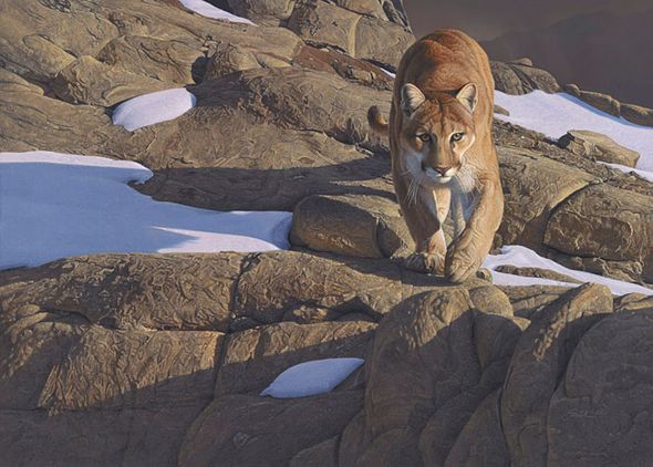 Daniel Smith Hand Signed and Numbered Limited Edition Canvas Giclee:"Fully Engaged"