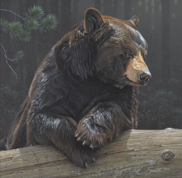 Daniel Smith Hand Signed and Numbered Limited Edition Canvas Giclee:"Logging On"