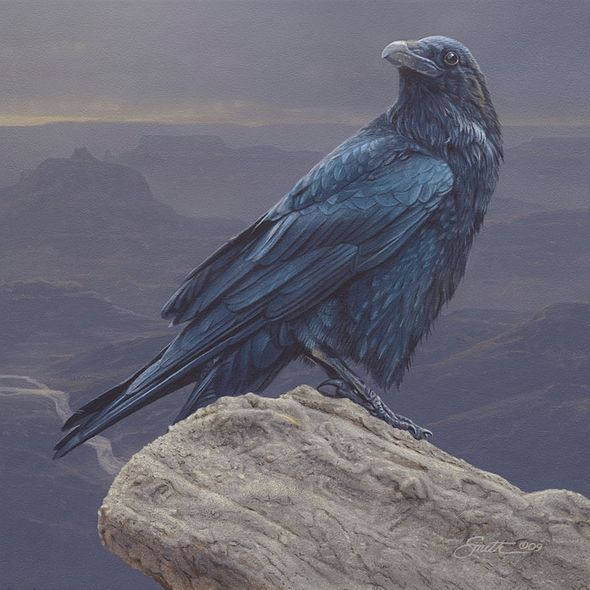 Daniel Smith Hand Signed and Numbered Limited Edition Gallery Wrap Canvas Giclee:"Canyon Vista "