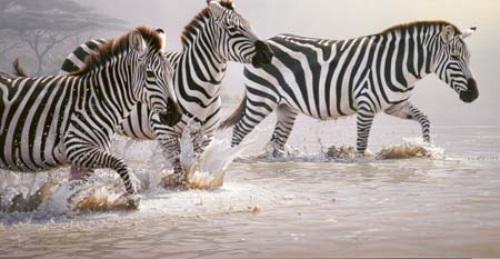 Daniel Smith Hand Signed and Numbered Limited Edition Canvas: "Risky Crossing"