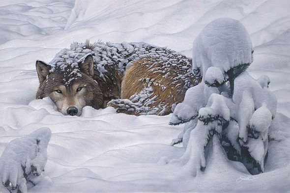 Daniel Smith Handsigned and Numbered Limited Edition Canvas: "Winter's Embrace"