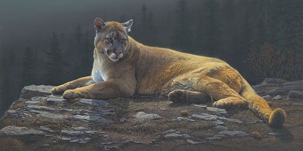 Daniel Smith Handsigned and Numbered Limited Edition Giclee Print: "Radiant Repose"