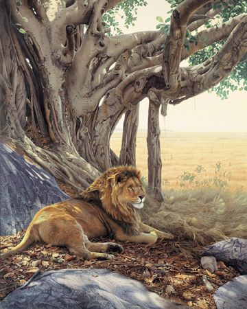 Daniel Smith Handsigned & Numbered Ltd Ed Canvas Giclee:"Savanna Sanctuary"