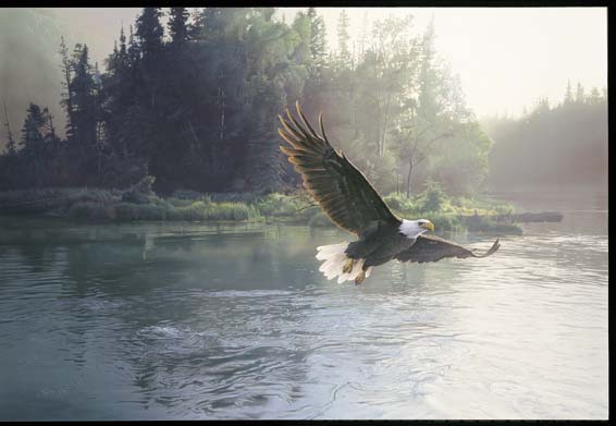 Daniel Smith Limited Edition Canvas:"Forever Free"