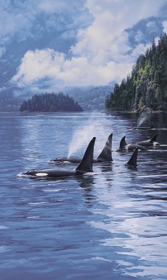 Daniel Smith Limited Edition Print:"Ancient Mariners"