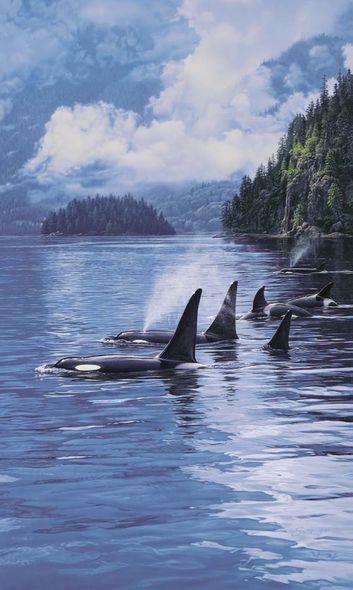 Daniel Smith Limited Edition Print:"Ancient Mariners"